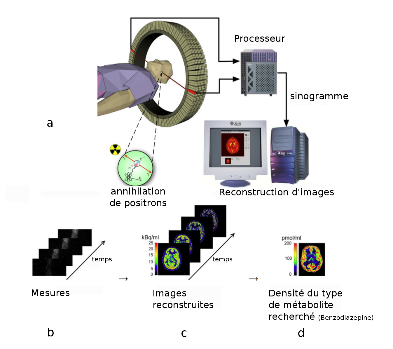 Principe du passage de l'analogique au numérique — CultureSciences