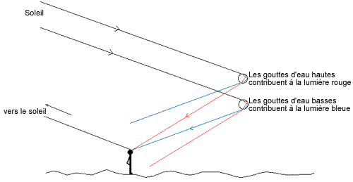 diagram.gif