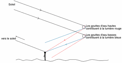 diagram.gif