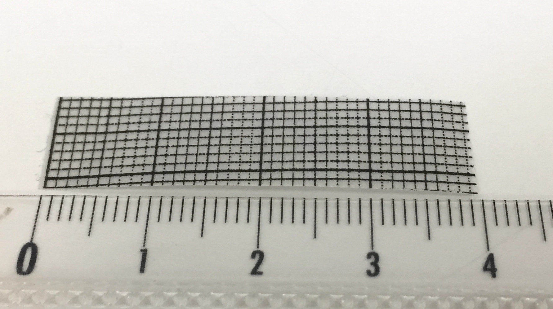 Bilame 1: bilame réalisé en superposant une couche de ruban adhésif sur une feuille de papier calque millimétrée
