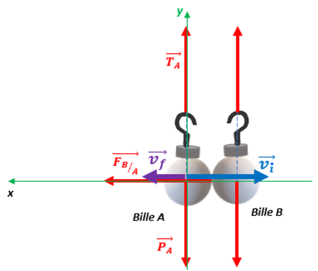 Schéma représentatif des forces appliquées et des vitesses de la bille A avant et après l'impact