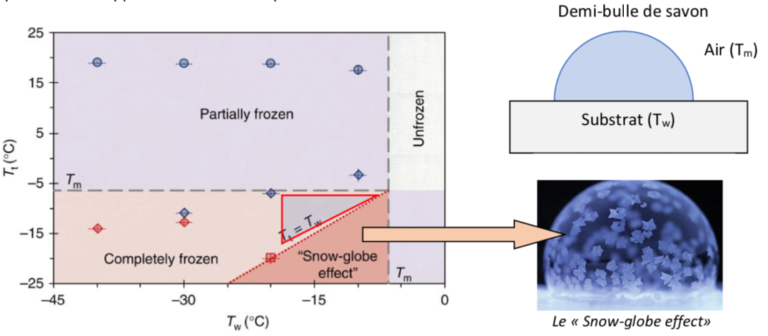 Etats de gels de bulles en fonction de Tt la température de l'air, Tw la température du support et Tm la température de solidification