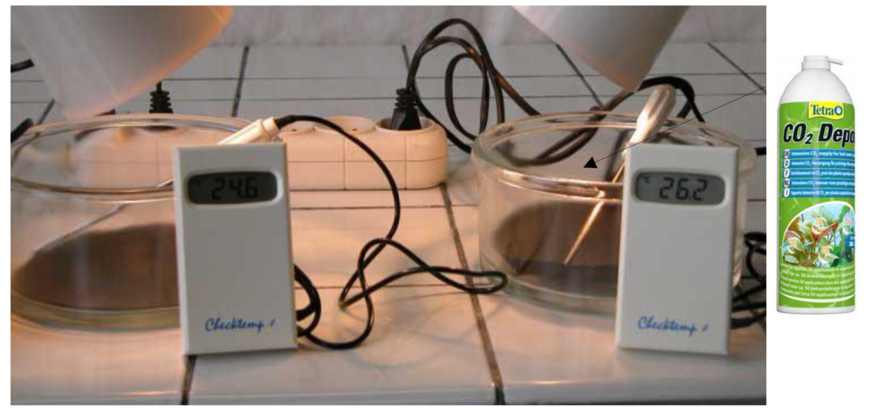 Photo de l'expérience 2. Mesure de la température de l'air, dont un enrichi en CO2, dans 2 cristallisoirs, dont un enrichi en CO2, chauffés par des lampes.