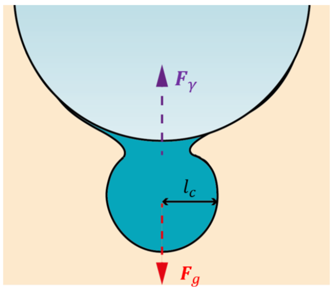 Schéma de la formation d'une goutte (en bleu foncé) en dessous d'un glaçon (en bleu clair). La goutte se détache lorsqu'elle atteint une taille caractéristique \(l_c\)