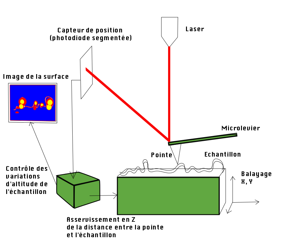 AFM-schema