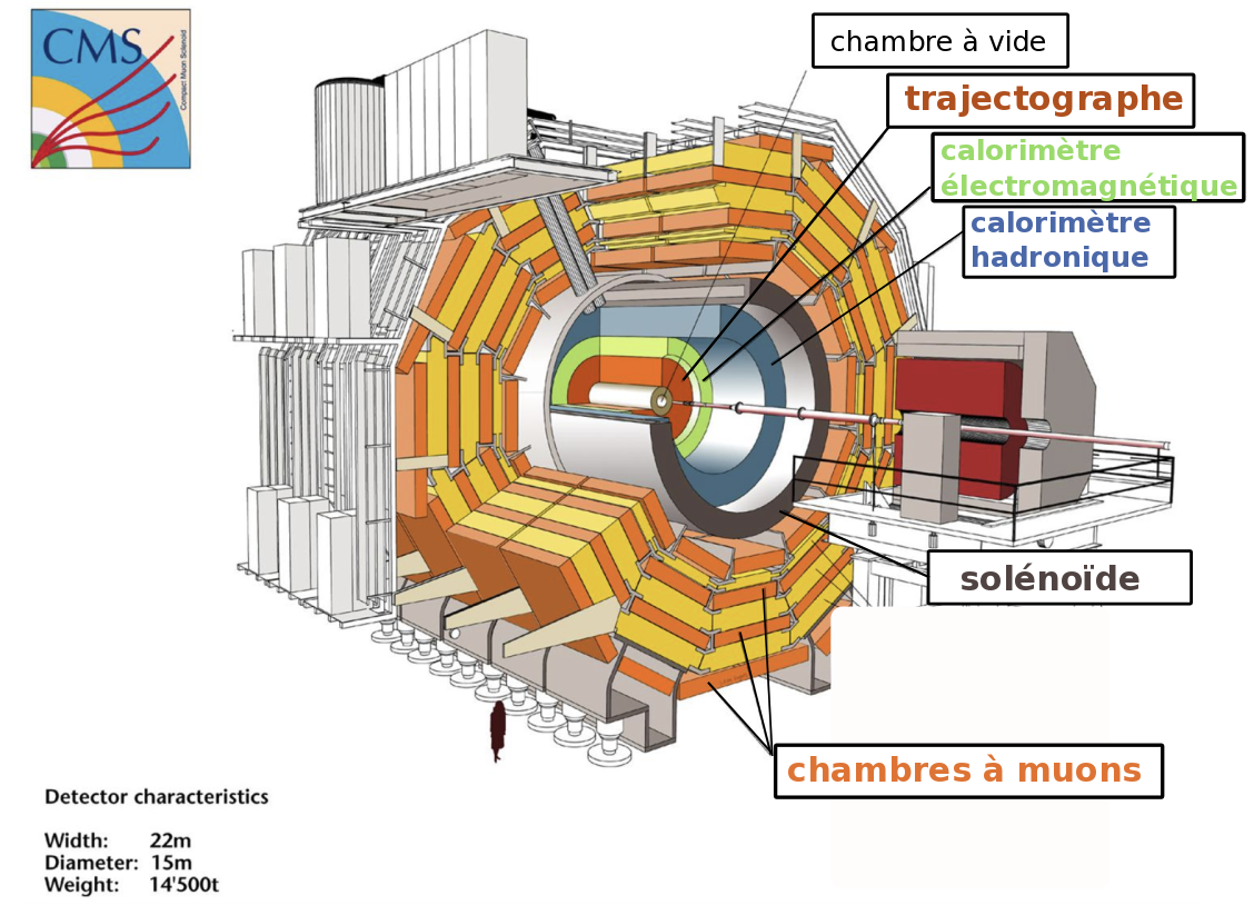 Accélérateur de particules circulaire, le cyclotron – Média LAROUSSE