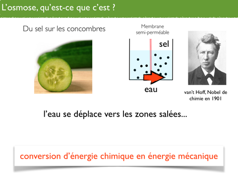 Osmoseur  Energie Gaz