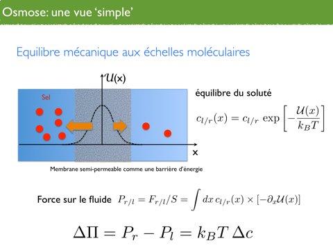 L'eau osmosée : définition, comment, utilisations