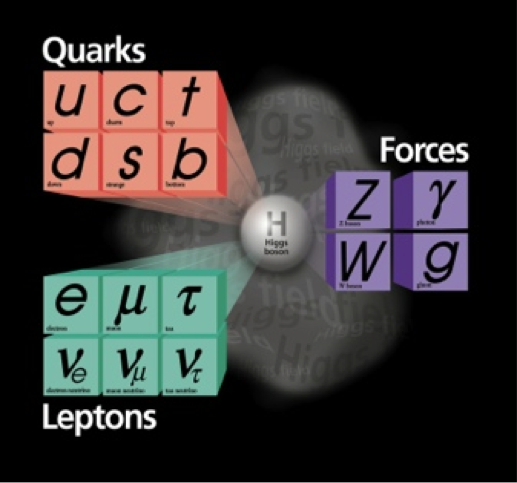 Composants fondamentaux du Modèle Standard des particules incluant le boson de Higgs dont le rôle est de donner une masse aux particules élémentaires du tableau (et non à la matière)
