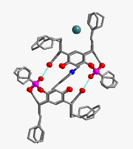 Structure complète d'une molécule de type résorcinol complexant un picolinium
