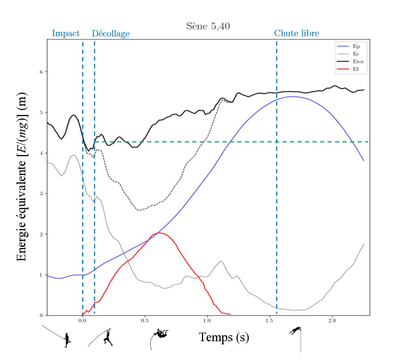 Évolution des différentes énergies lors d'un saut en fonction du temps