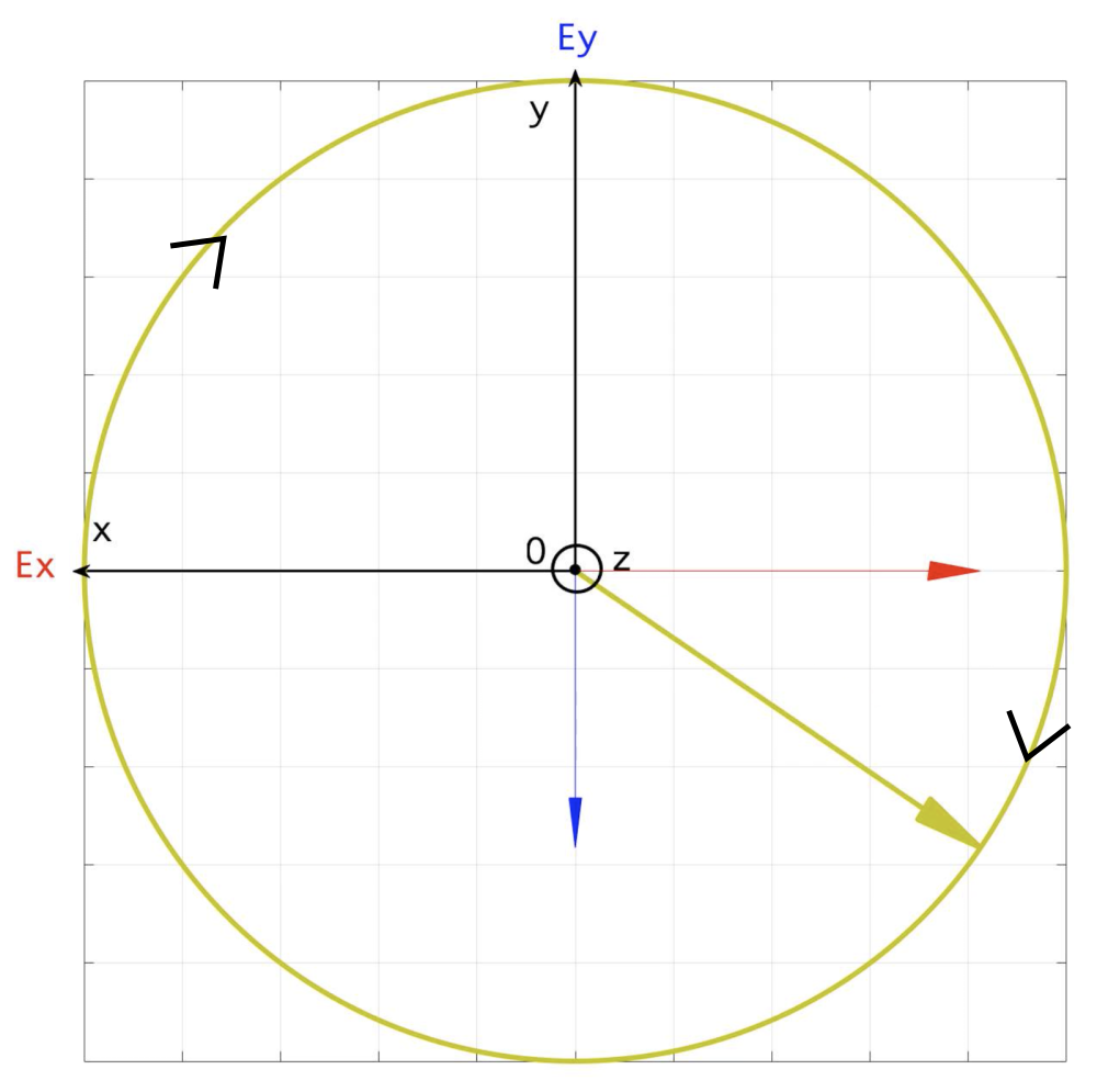 Polarisation circulaire droite de la lumière - Le champ électrique \( E \) est dirigé selon l'axe Ox et se déplace selon l'axe Oz - Vue dans le plan (Oxy) - Arrêt sur image