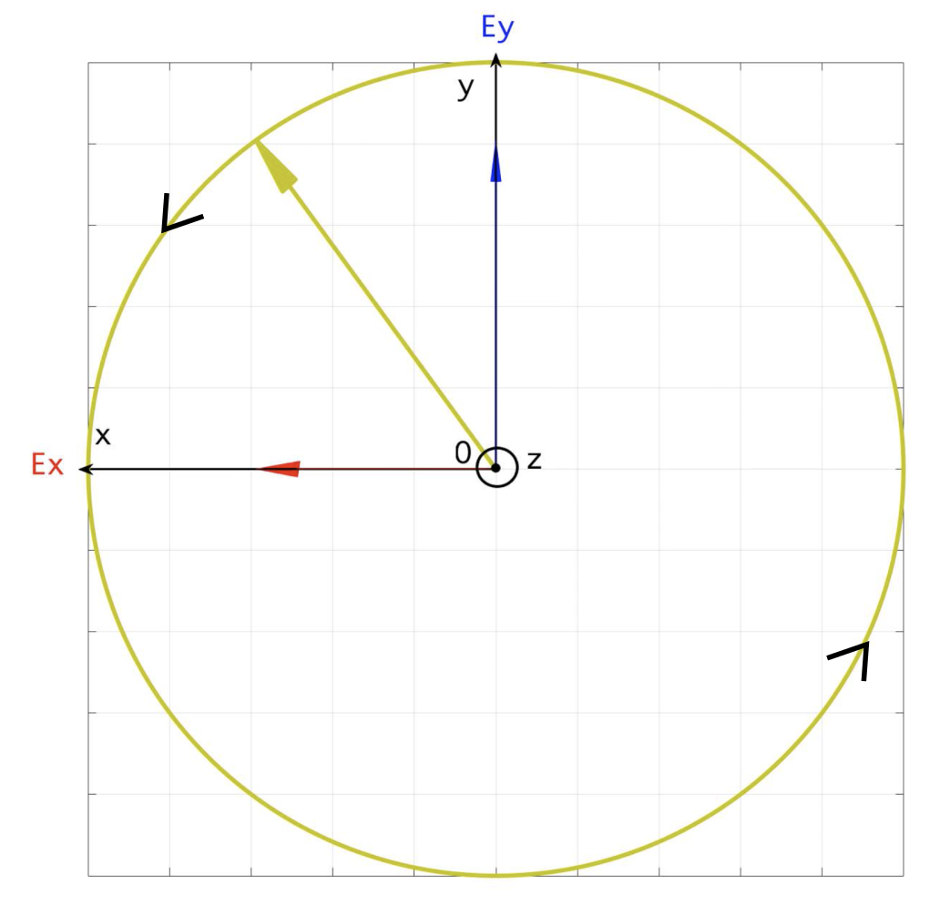 Polarisation circulaire gauche de la lumière - Le champ électrique \( E \) est dirigé selon l'axe Ox et se déplace selon l'axe Oz - Vue dans le plan (Oxy) - Arrêt sur image