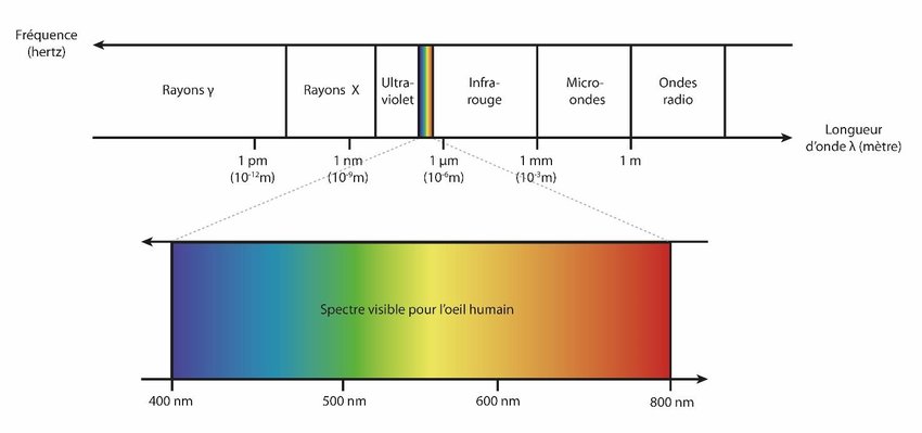 Spectre des ondes électromagnétiques et zoom sur le spectre de la lumière visible