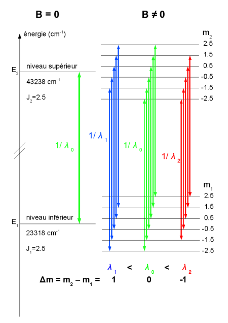 Schéma des transitions possibles du Fe II autour de λ0 = 501,845 nm entre les sous-niveaux Zeeman.