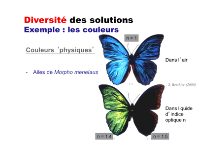 couleurs-physiques.jpg